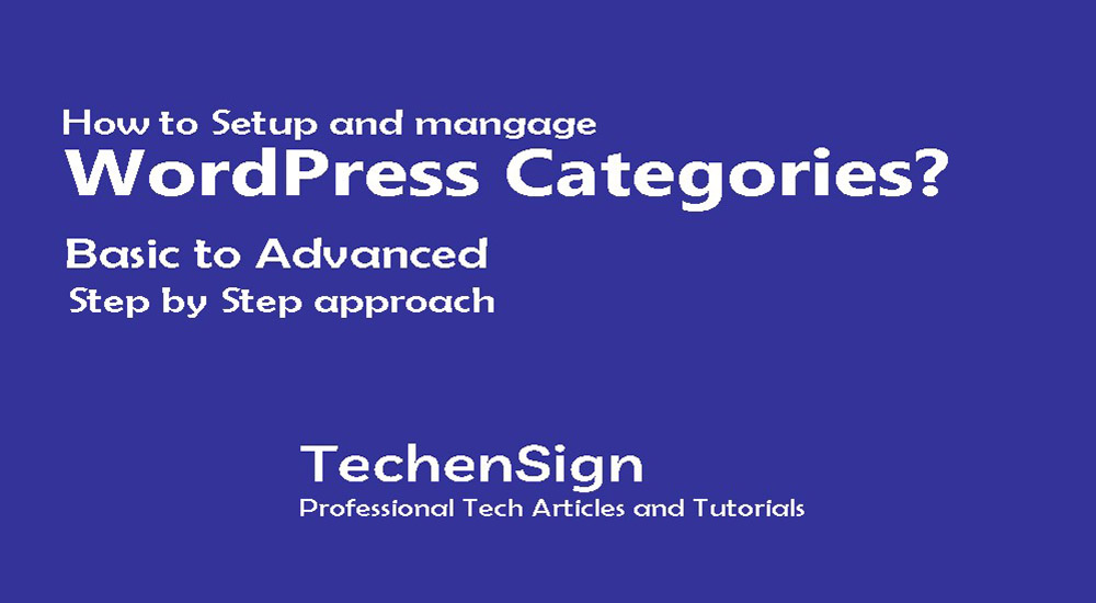 How to setup and manage categories on WordPress website